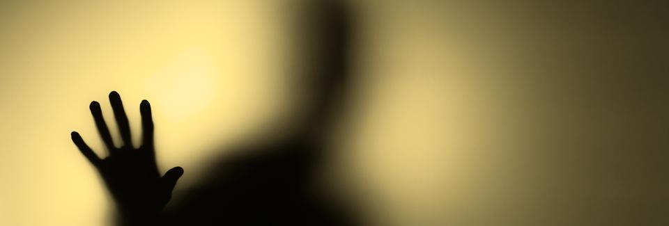 In the Shadow of the Shepherd