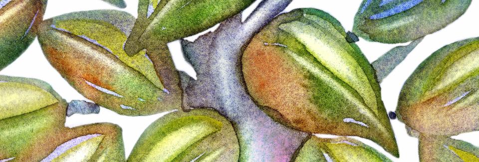 From the Archives: Storying to Build an Atmosphere of Trust and Mutual Respect