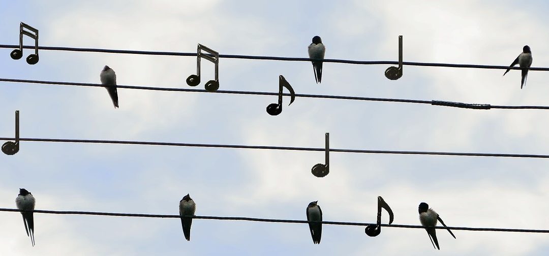 Singing Faith All Day Long