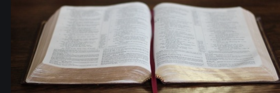 Thoughts on Leviticus 11
